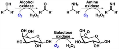 dr-sebastian-cosgrove-biocatalysis-500x207