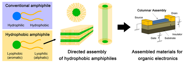 hydrophobic