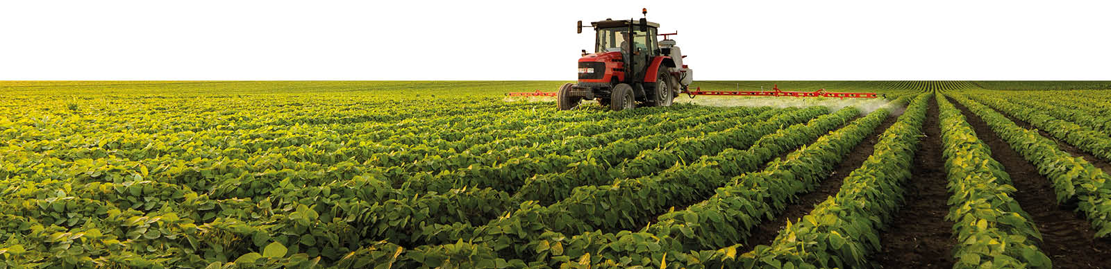 Tractor on field